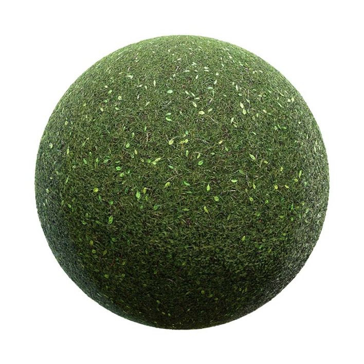 Grass with Plant Leaves PBR Texture