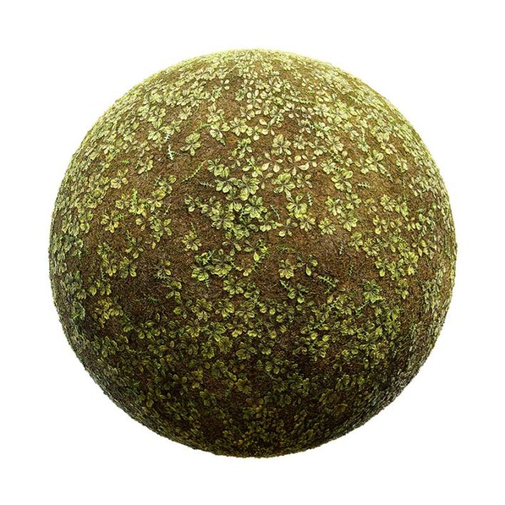 Grass with Plants PBR Texture