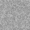 Grass with Plants PBR Texture - Image 9