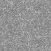 Grass with Plants PBR Texture - Image 9