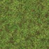 Grass with Plants PBR Texture - Image 2