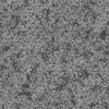 Grass with Plants PBR Texture - Image 4