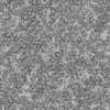 Grass with Plants PBR Texture - Image 9