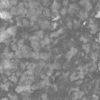 Grass with Rocks PBR Texture - Image 4
