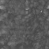 Grass with Rocks PBR Texture - Image 5