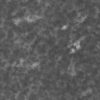 Grass with Rocks PBR Texture - Image 5