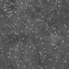 Grass with Rocks PBR Texture - Image 4