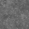 Grass with Rocks PBR Texture - Image 5