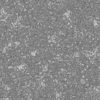Grass with Small Rocks PBR Texture - Image 3
