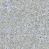 Grass with Small Rocks and Snow PBR Texture - Image 2