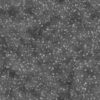 Grass with Small Rocks and Snow PBR Texture - Image 5