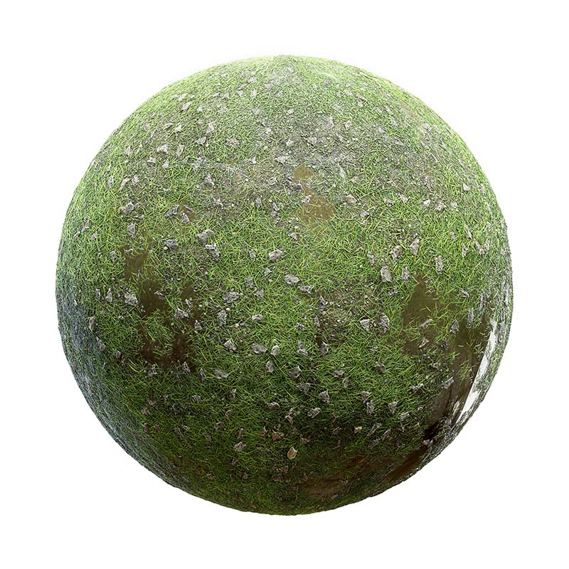 Fascinating Best Shower Head Water Filter Tactics That Can Help Your Business Grow