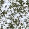 Grass with Snow PBR Texture - Image 2