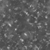 Grass with Snow PBR Texture - Image 5