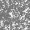 Grass with Sticks and Water PBR Texture - Image 4