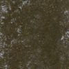 Grass with Sticks and Snow PBR Texture - Image 2