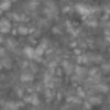 Grass with Stones PBR Texture - Image 5