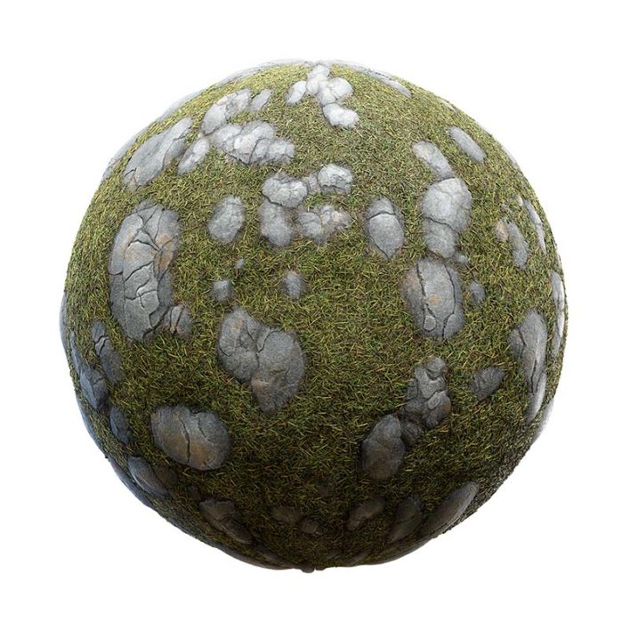 Grass with Stones PBR Texture
