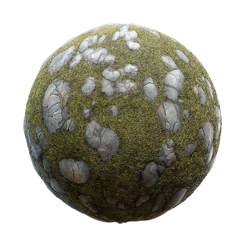 Grass with Stones PBR Texture