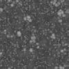 Grass with Stones PBR Texture - Image 4