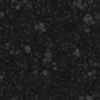 Grass with Stones PBR Texture - Image 8