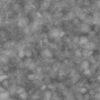 Grass with Stones and Plants PBR Texture - Image 5