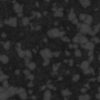 Grass with Stones and Plants PBR Texture - Image 8