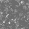 Grass with Stones and Water PBR Texture - Image 5