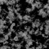 Grass with Stones and Water PBR Texture - Image 9