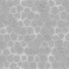 Grass with Water PBR Texture - Image 3