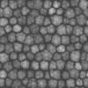 Grass with Water PBR Texture - Image 5