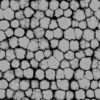 Grass with Water PBR Texture - Image 9