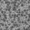 Green Porous Rock PBR Texture - Image 5