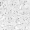 Grey Mud with Water PBR Texture - Image 3