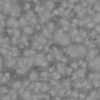 Grey Porous Rock PBR Texture - Image 9