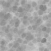 Grey Porous Rock PBR Texture - Image 4