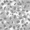 Mud with Large Stones PBR Texture - Image 4