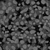 Mud with Large Stones PBR Texture - Image 9