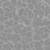 Orange Porous Rock PBR Texture - Image 4