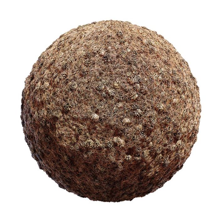 Pine Needles and Cones PBR Texture