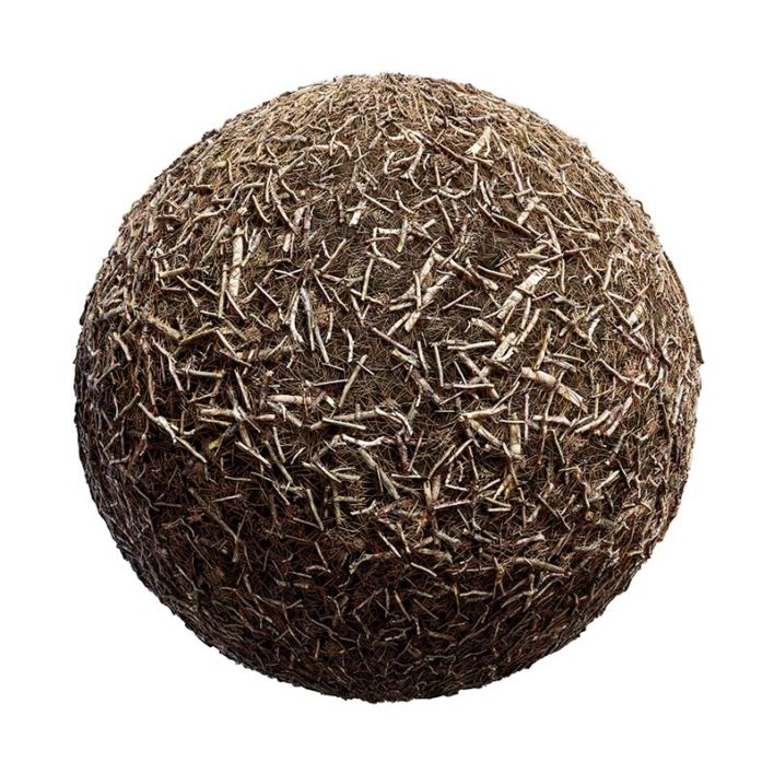 Pine Needles and Sticks PBR Texture