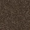 Pine Needles and Sticks PBR Texture - Image 2