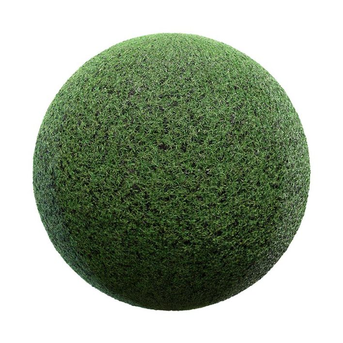Plant Field PBR Texture