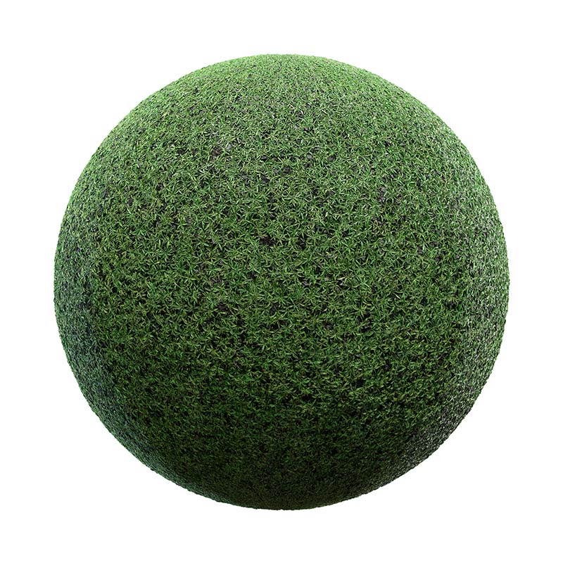 Plant Field PBR Texture