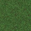Plant Leaves Field PBR Texture - Image 2