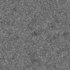 Plant Leaves Field PBR Texture - Image 5