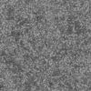 Plant Leaves Field with Dirt PBR Texture - Image 4