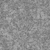 Plant Leaves Field with Dirt PBR Texture - Image 9