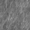 Roots PBR Texture - Image 5
