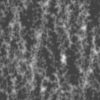 Rough Beige Rock with Water PBR Texture - Image 5